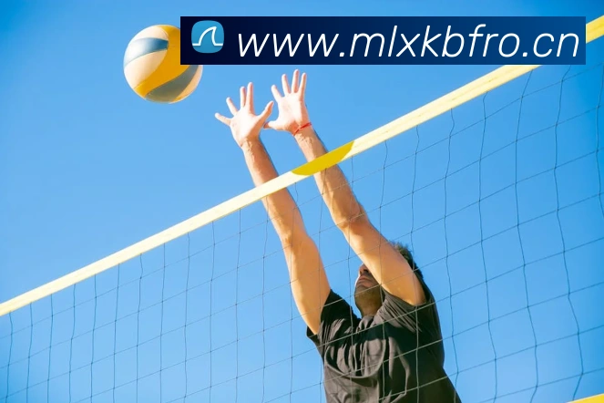 星空手机在线登陆入口全站App